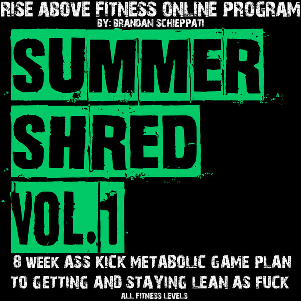 SUMMER SHRED VOL 1 Online Program